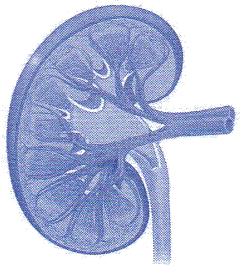 Clinique_Atlas